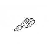 Bulb