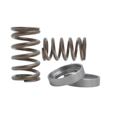KVS38-EXTREME | VR38DETT Springs