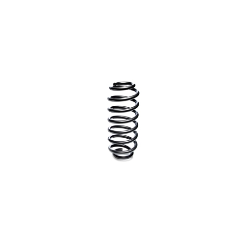 Nissan OEM 300ZX Spring, Front - Twin Turbo Coupe